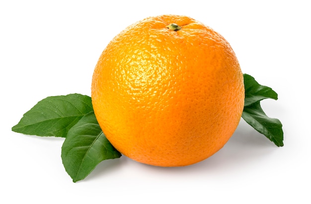 Fruta naranja aislada