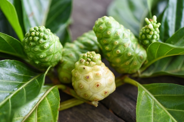 Fruta noni madura e crua fresca