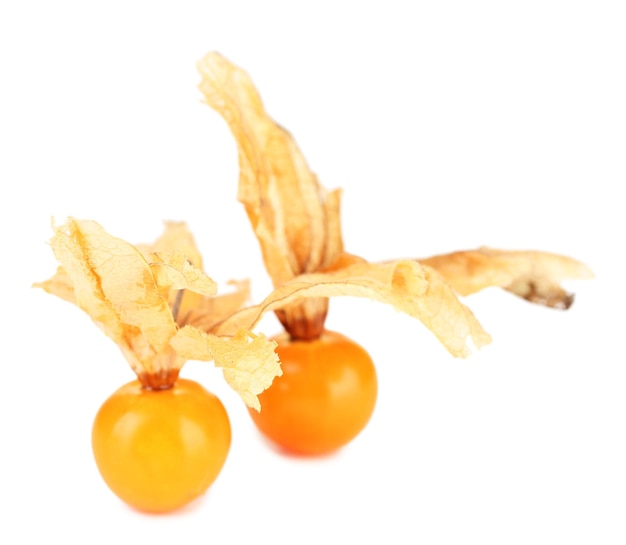 Fruta de Physalis aislada en blanco