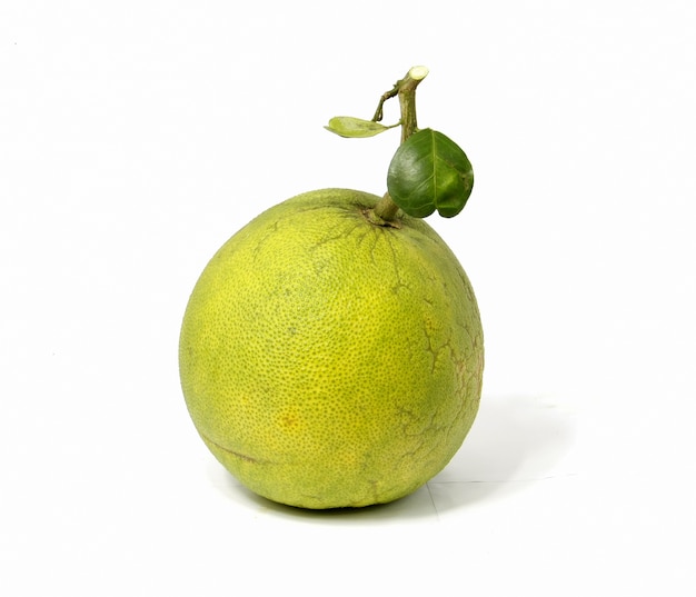 Una fruta pomelo verde sobre fondo blanco