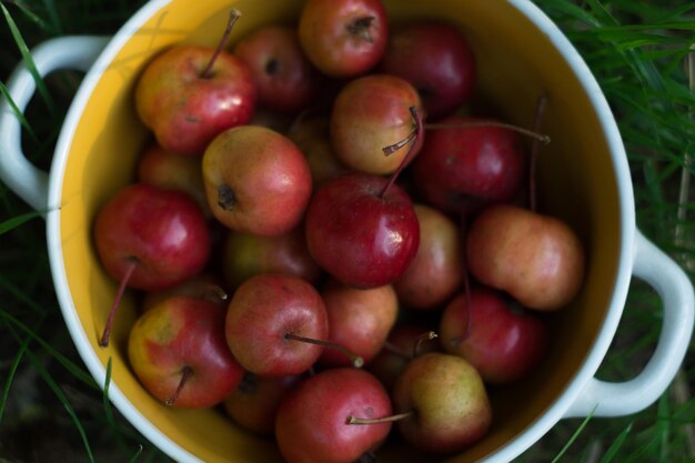 Fruta roja madura de manzano de frutos pequeños en una placa