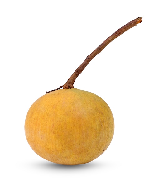 Fruta Santol aislado sobre fondo blanco.