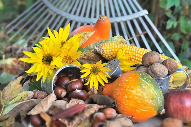 Fruta de temporada recogida en el jardín.