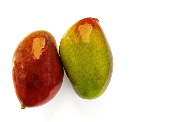 Fruta tropical, dos mangos uno de ellos maduro y el otro verde sobre fondo blanco.