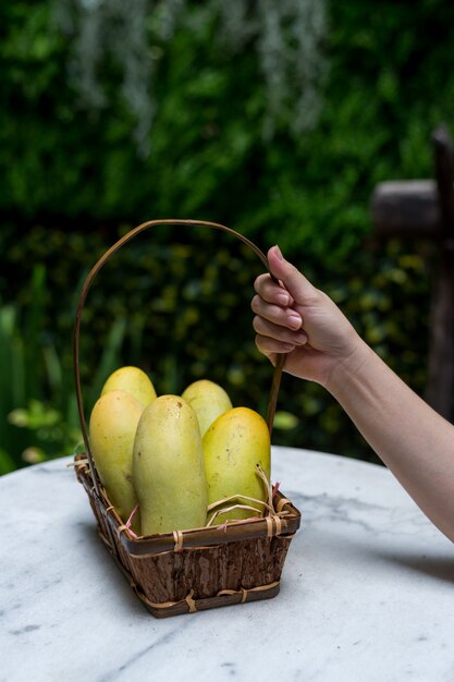 Fruta tropical de mango en canasta de madera