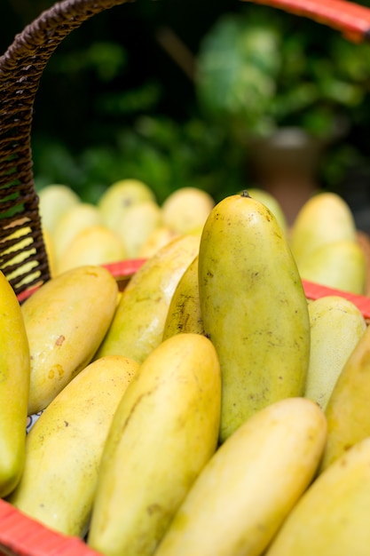 Fruta tropical de mango en canasta de madera