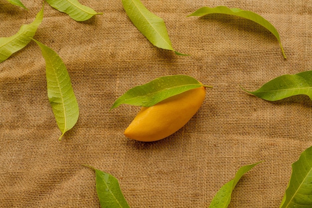 Fruta tropical de mango con hojas verdes sobre lienzo