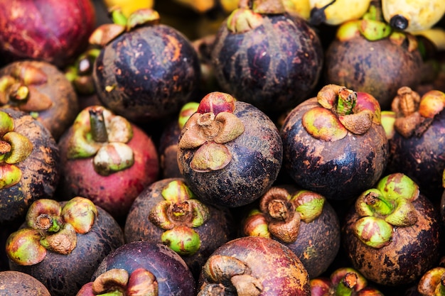 fruta tropical del mangostán