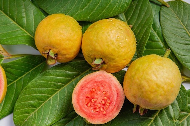 Frutas amarillas maduras y hojas de guayaba sobre un fondo blanco.