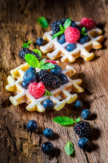 Frutas de baya caseras con gofres en corteza de madera