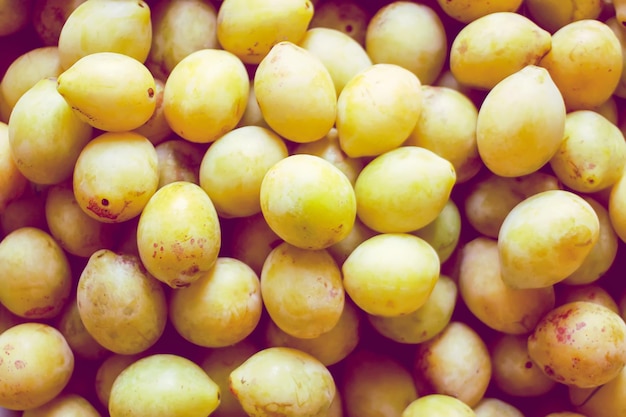 Frutas de ciruela amarillas jugosas maduras de cerca. Ciruelas orgánicas frescas que crecen en el campo.