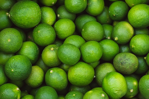 Frutas cítricas de limão verde frescas da plantação da fazenda