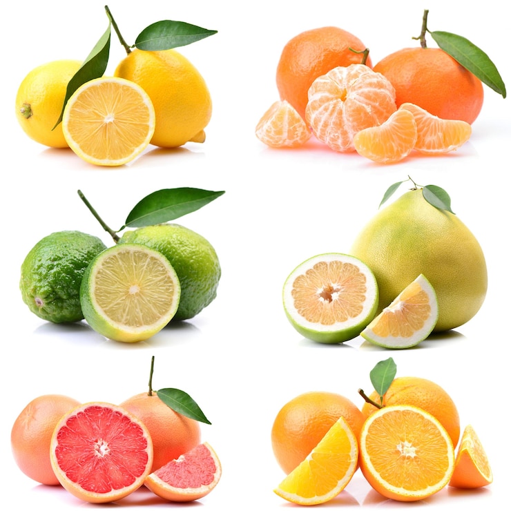 Foto frutas cítricas em um fundo branco