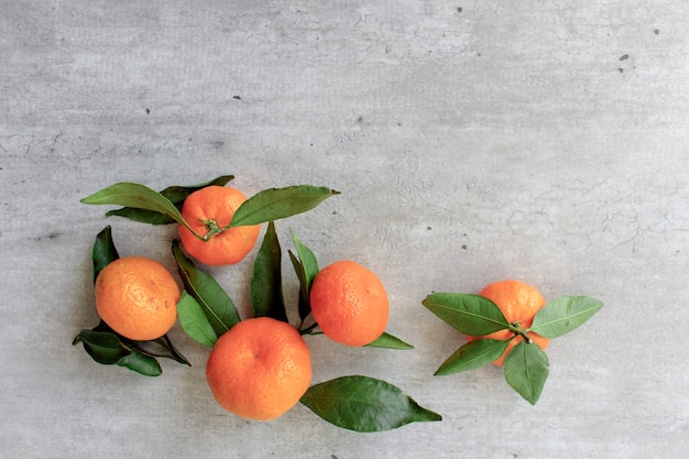 Frutas cítricas frescas com folhas: limões, laranjas, tangerinas em caixa de madeira
