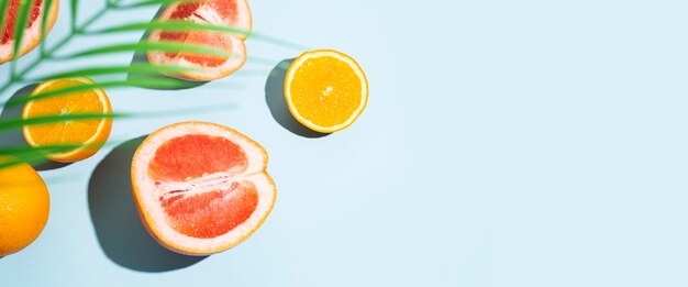 Frutas cítricas, naranjas, pomelos y hojas de palma