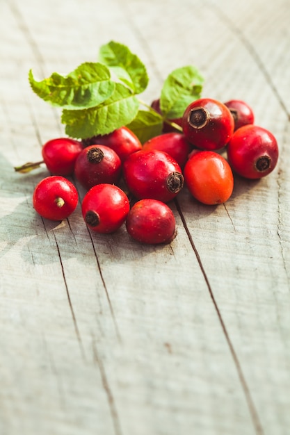 Frutas de dogrose en la mesa de madera de cerca