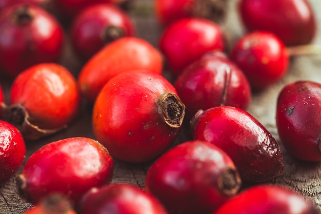 Frutas de dogrose en la mesa de madera de cerca