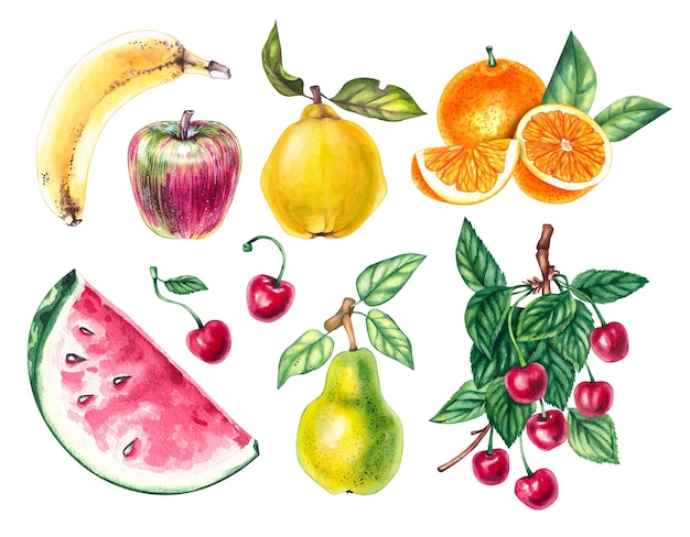 Frutas e bagas aquareladas laranja cereja maçã melancia pera banana quince isolado em