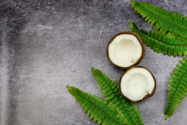 Foto frutas exóticas coco meio fundo de ondark com folha de palmeira verde