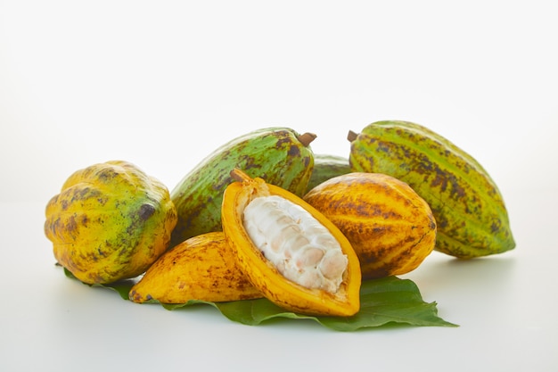 Frutas frescas del cacao con la hoja verde en el fondo blanco