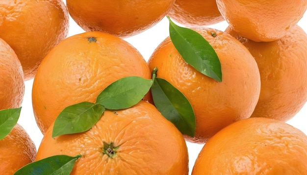 frutas frescas de laranja isoladas em fundo branco