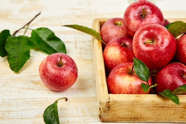 Frutas frescas de maçãs maduras vermelhas na caixa de madeira