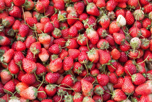 Frutas frescas de morango vermelho para fundo