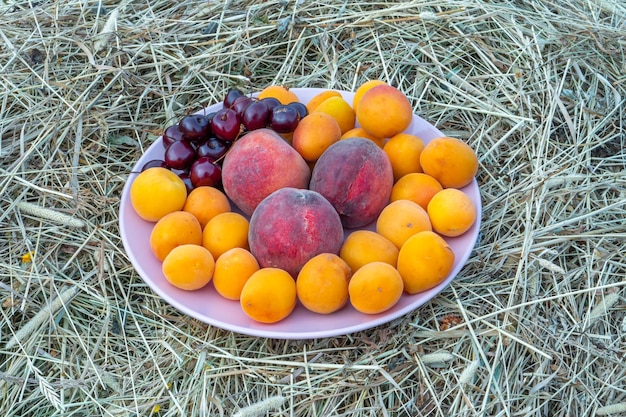 Las frutas frescas están en un plato, en el contexto del heno.