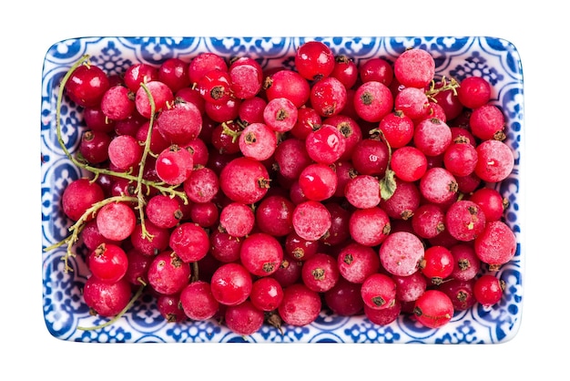 Frutas de grosella roja congeladacerrar