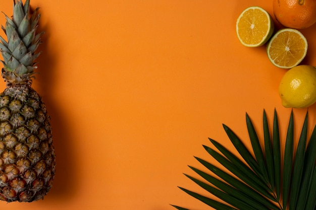 Frutas y hojas sobre fondo de playa de verano naranja