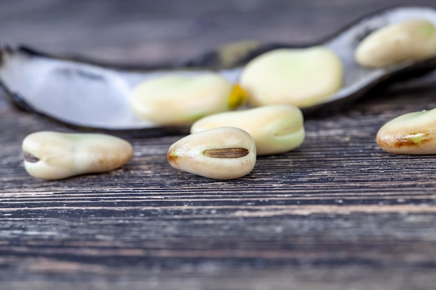 Frutas leguminosas grandes maduras durante el secado y la cocción