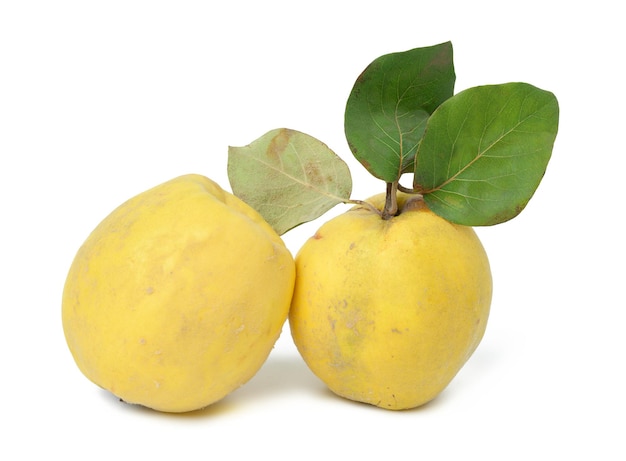 Frutas maduras de membrillo amarillo aisladas sobre fondo blanco