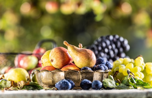 Frutas maduras sobre la mesa en el jardín. Peras frescas en un cuenco de bronce rodeado de una variedad de frutas del jardín.