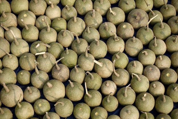 Frutas de manzana de madera madura Limonia Acidissima se alinean bajo el sol abierto para el secado Fondo de patrón de fruta de manzana de madera madura Vistas de cerca de frutas de manzana de madera