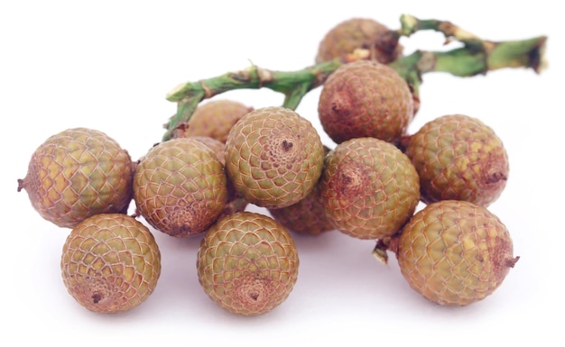 Frutas de palma de cálamo tropical sobre fondo blanco.