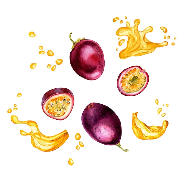 Frutas de la pasión púrpura e ilustración de acuarela de jugo de salpicaduras aisladas sobre fondo blanco
