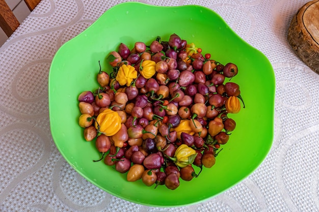 Foto frutas pimentas pequenas