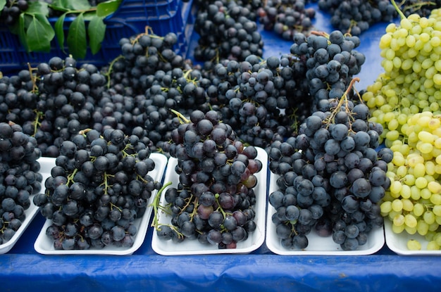 Frutas saludables Fondo de uvas de vino azul oscuro rojo