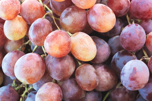 Frutas saudáveis fundo de uvas para vinho tinto uvas escuras uvas azuisuvas para vinhofundo de uvas para vinho tintouvas escurasuvas azuisuva vermelha em um supermercado mercado local cacho de uvas pronto para comer