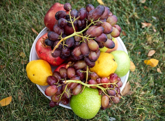 Frutas variadas em um prato na grama