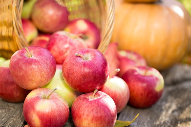 Frutas y verduras en otoño al aire libre. Concepto de vacaciones de acción de gracias