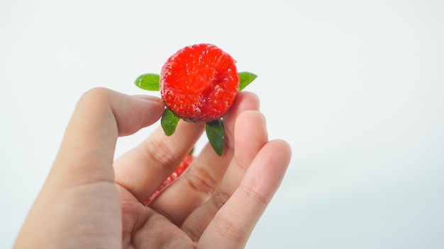 Frutas vermelhas frescas de morango na mão Tire uma foto com um pano de fundo branco