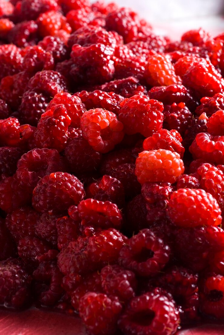 Foto frutas vermelhas plantadas na fazenda sem pesticidas