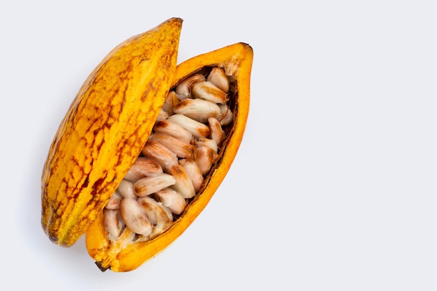 Fruto de cacao aislado sobre fondo blanco.