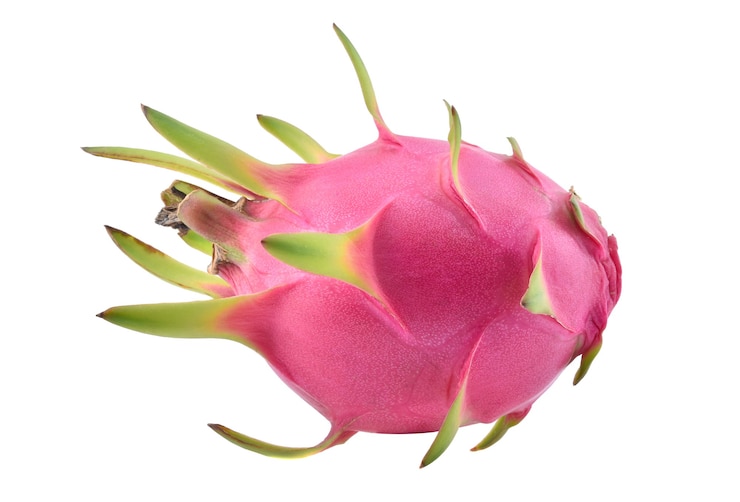 Foto fruto de dragão isolado em fundo branco