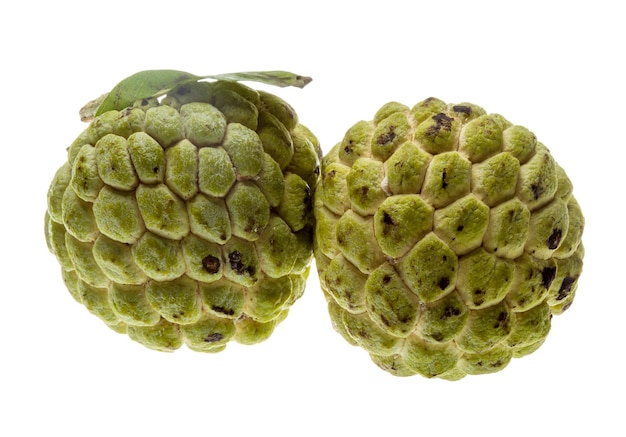 Fruto de noni