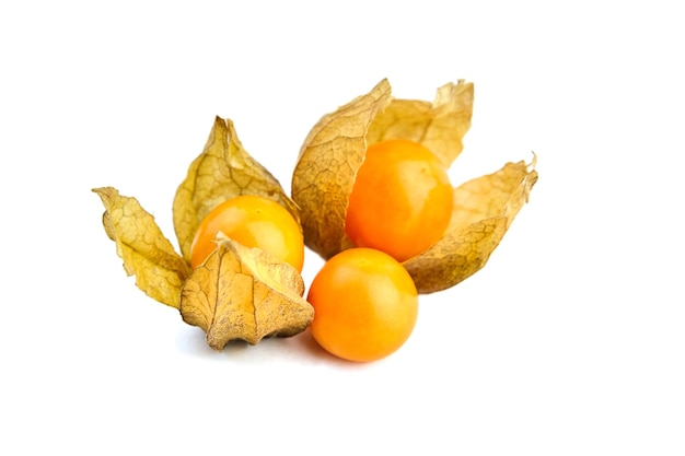 Fruto de Physalis peruviana com folhas secas isoladas em um branco