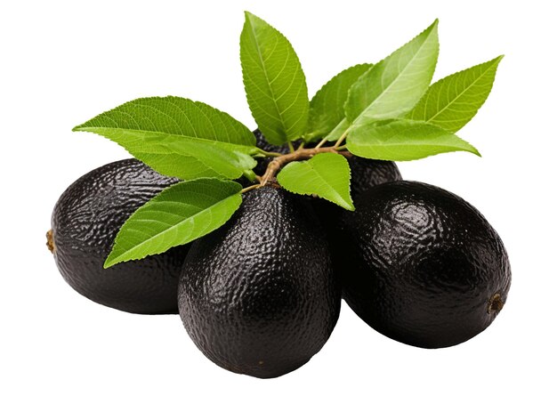 Fruto de Sapote preto em fundo branco