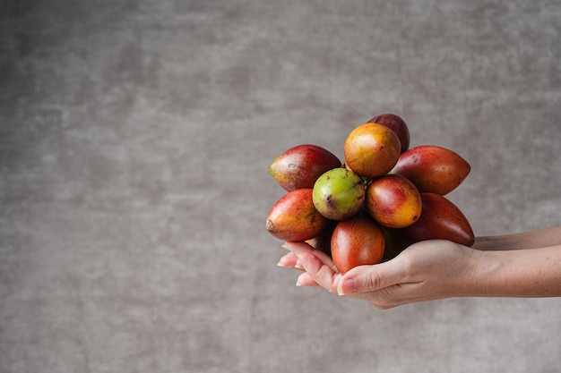 Foto fruto de tamarillo na indonésia terong belanda eggplan holandês