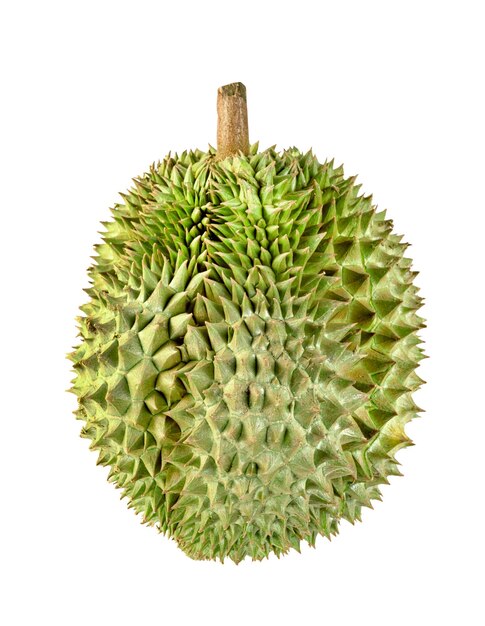 Foto fruto de durian aislado sobre un fondo blanco fruto tailandés